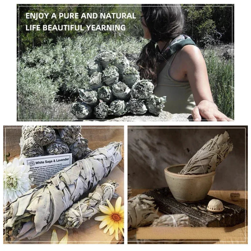 Sacred White & Dragon Sage
